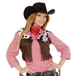 Strieborná kovová hviezda šerifa